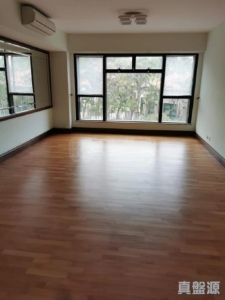 大埔 - 28NTS – 香港北部都會區