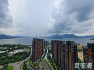 銀湖．天峰 6座 - 28NTS – 香港北部都會區