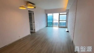 銀湖．天峰 6座 - 28NTS – 香港北部都會區