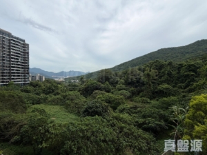 玖瓏山 天瓏閣 第2座 - 28NTS – 香港北部都會區