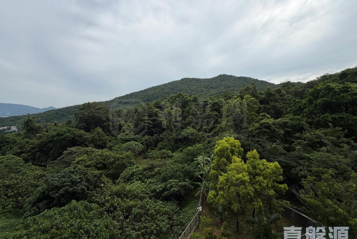 玖瓏山 天瓏閣 第2座 - 28NTS – 香港北部都會區