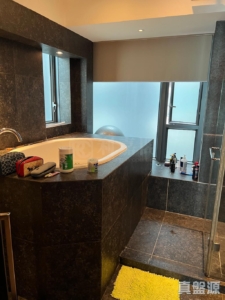 天賦海灣 1期 2座 - 28NTS – 香港北部都會區