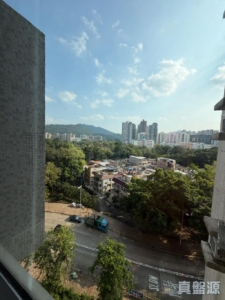 上水名都 巴黎閣 (3座) - 28NTS – 香港北部都會區