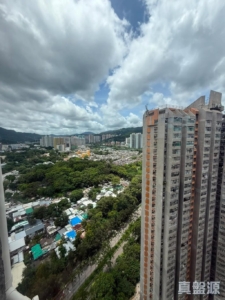 安盛苑 - 28NTS – 香港北部都會區