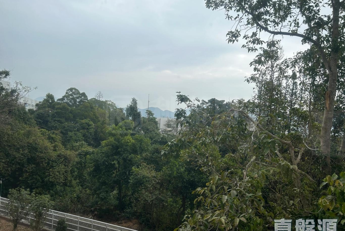 華翠園 32座 - 28NTS – 香港北部都會區