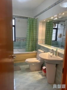 華翠園 32座 - 28NTS – 香港北部都會區