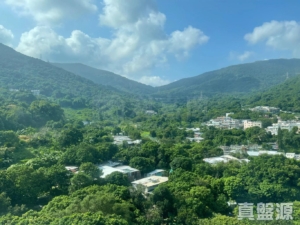 天鑽 19座 - 28NTS – 香港北部都會區