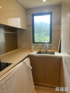 天鑽 19座 - 28NTS – 香港北部都會區