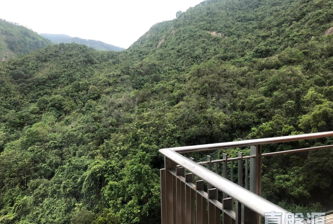 晉名峰 D座 - 28NTS – 香港北部都會區
