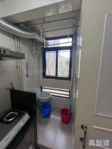 逸雅苑 逸欣閣 (B座) - 28NTS – 香港北部都會區