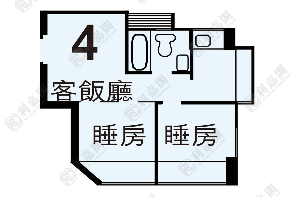 179095293539339_2000_ricacorp.png
