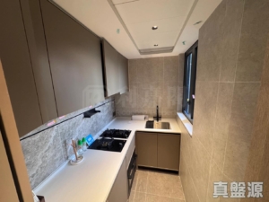 上然 3期 3座 - 28NTS – 香港北部都會區