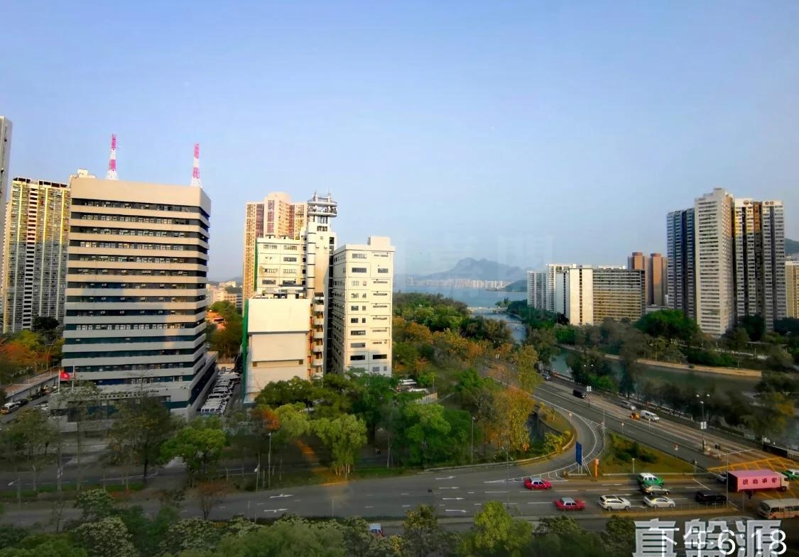 大埔中心 5期 19座 - 28NTS – 香港北部都會區