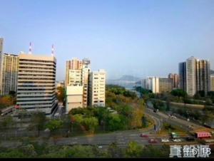 大埔中心 5期 19座 - 28NTS – 香港北部都會區