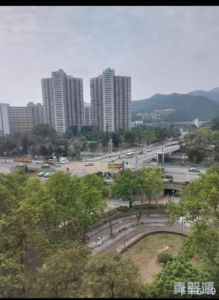大埔中心 5期 19座 - 28NTS – 香港北部都會區