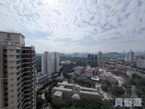 御皇庭 2座 - 28NTS – 香港北部都會區