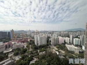 御皇庭 2座 - 28NTS – 香港北部都會區