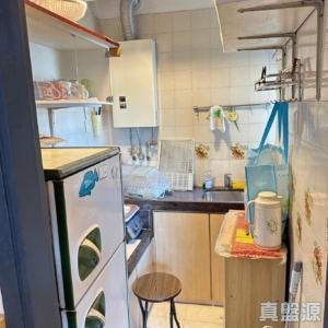 沙田中心 海寧大廈 (B座) - 28NTS – 香港北部都會區