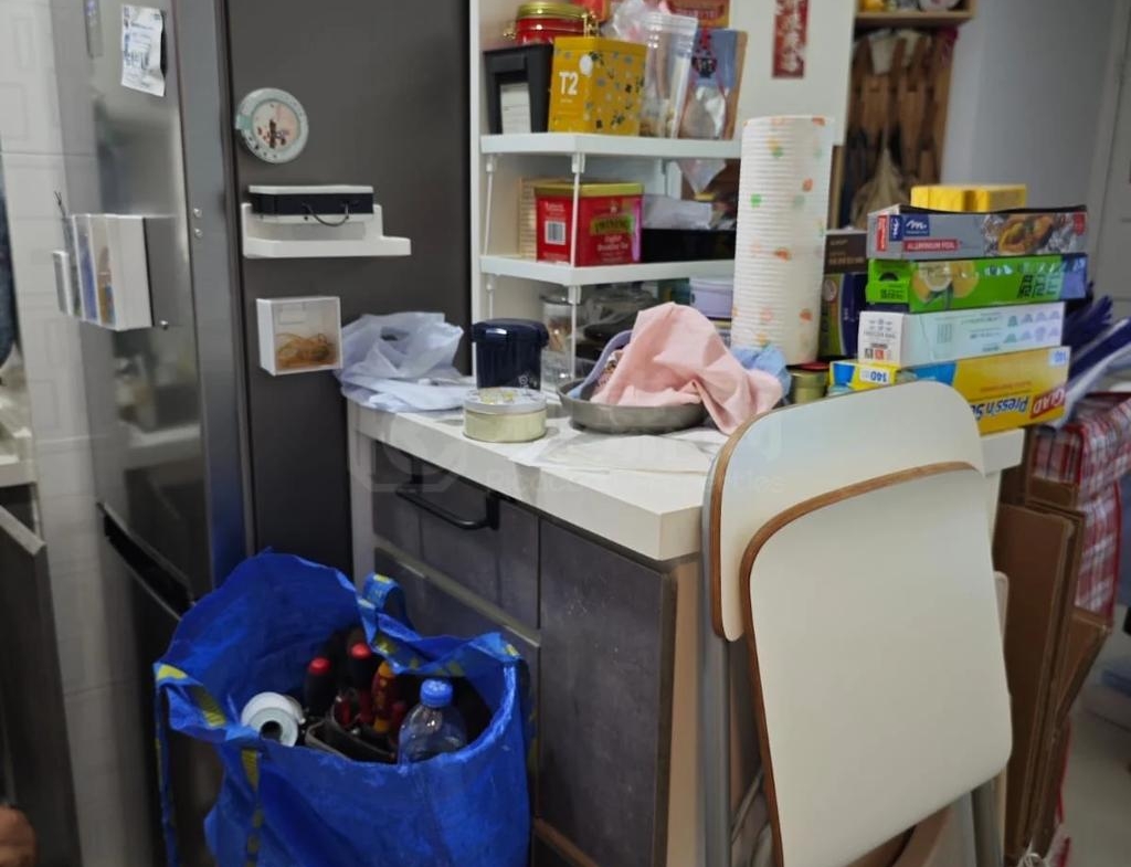 八號花園 2座 - 28NTS – 香港北部都會區