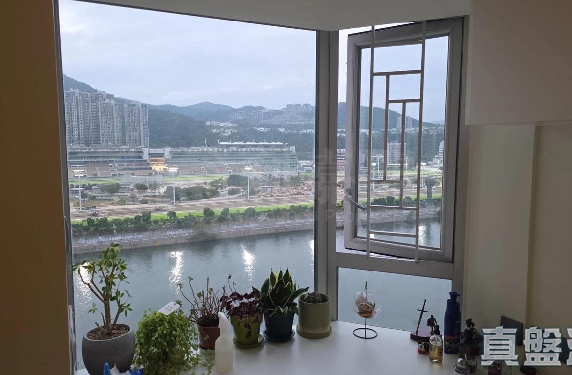碧濤花園 3期 雅芝閣 (2座) - 28NTS – 香港北部都會區