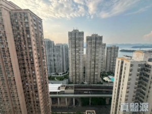 新港城 4期 G座 - 28NTS – 香港北部都會區