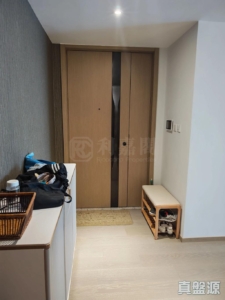 大埔 - 28NTS – 香港北部都會區
