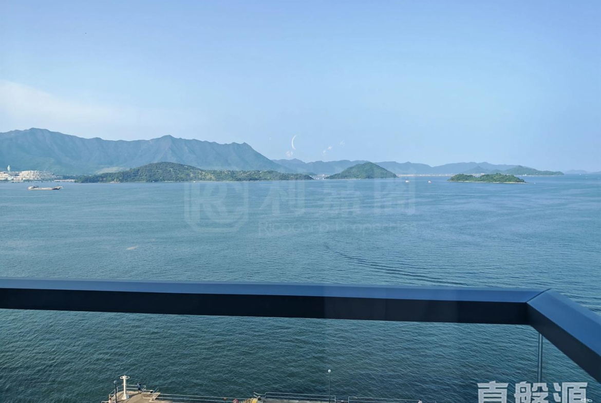 大埔 - 28NTS – 香港北部都會區