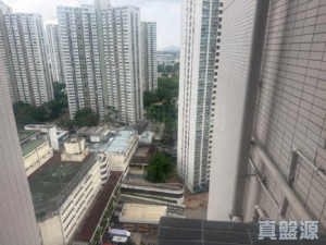 新興花園 康仁閣 (2座) - 28NTS – 香港北部都會區