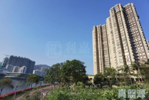 濱景花園 5座 - 28NTS – 香港北部都會區