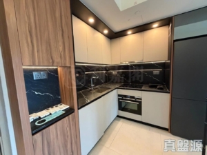 SILICON HILL 1期 翠景閣 第6座 - 28NTS – 香港北部都會區