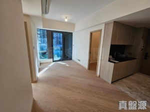 星凱．堤岸 1座 - 28NTS – 香港北部都會區