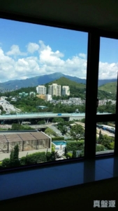 GRAND YOHO 1期 1座 - 28NTS – 香港北部都會區