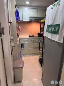天愛苑 愛濤閣 (B座) - 28NTS – 香港北部都會區