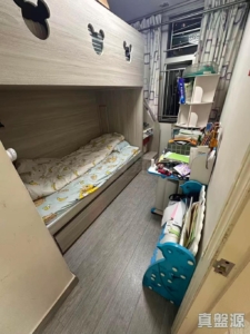 天愛苑 愛濤閣 (B座) - 28NTS – 香港北部都會區