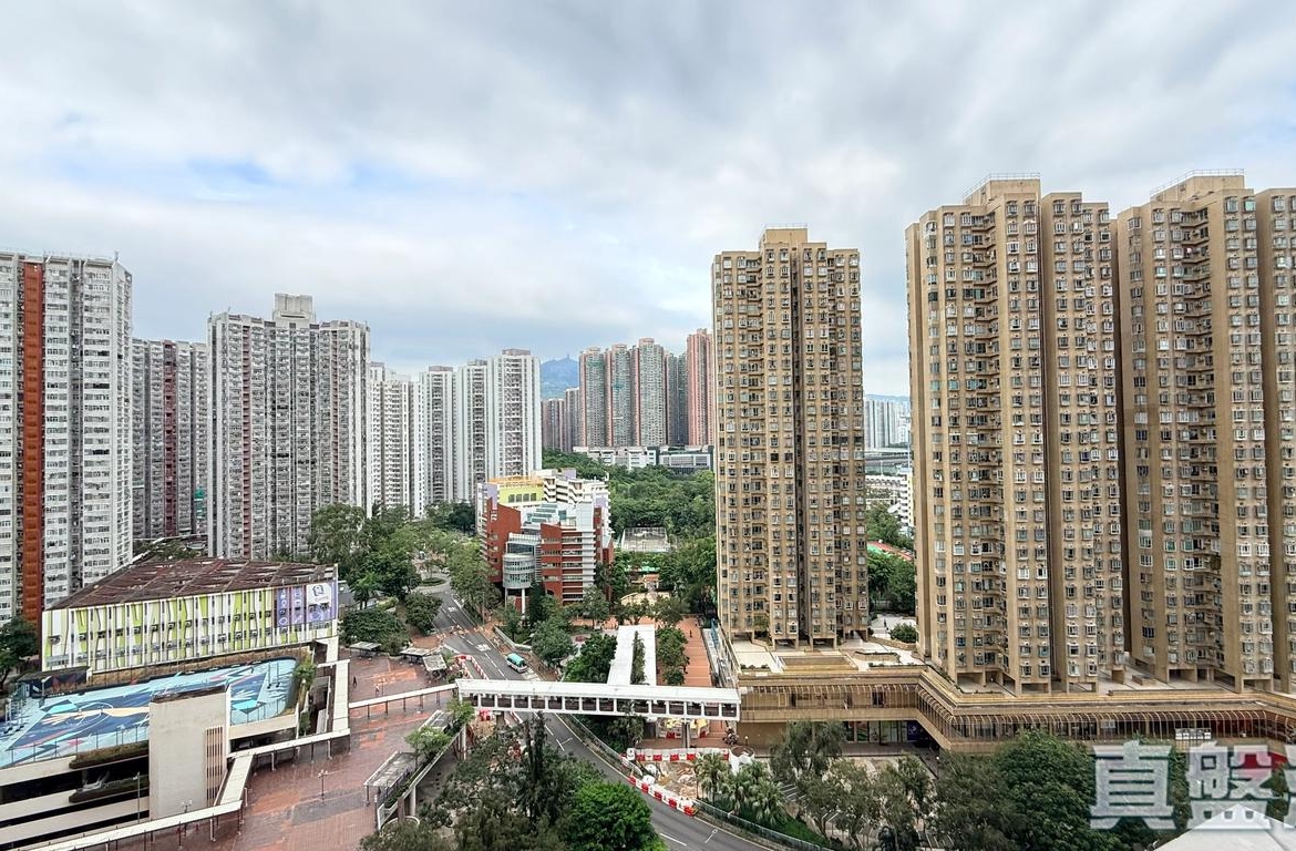 綠悠雅苑 1座 - 28NTS – 香港北部都會區