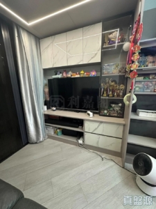 帝御 2期 帝御‧星濤 2座 - 28NTS – 香港北部都會區