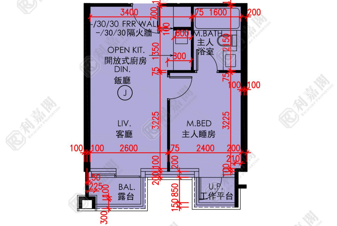 179113618647044_2000_ricacorp.png