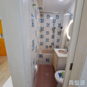 沙田第一城 6期 24座 - 28NTS – 香港北部都會區