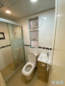 新港城 3期 P座 - 28NTS – 香港北部都會區