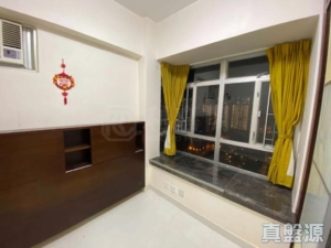 新港城 3期 P座 - 28NTS – 香港北部都會區