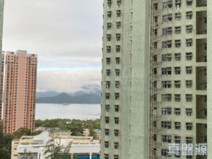 富寶花園 8座 - 28NTS – 香港北部都會區