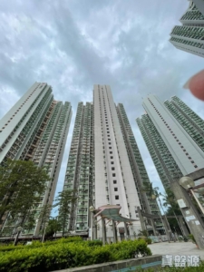 天麗苑 - 28NTS – 香港北部都會區