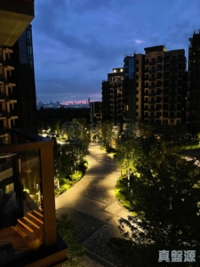 WETLAND SEASONS PARK 1期 6座 - 28NTS – 香港北部都會區