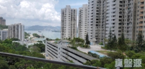豪景花園 3期 21座 - 28NTS – 香港北部都會區