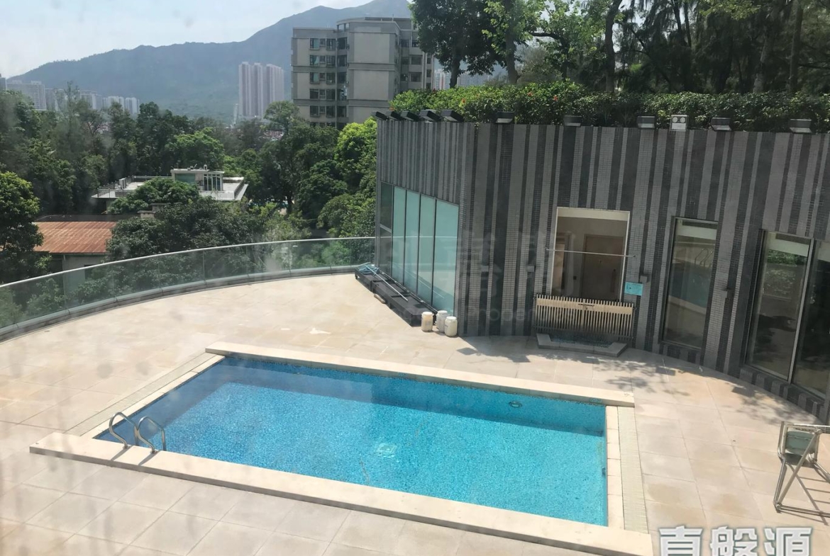 南岸 - 28NTS – 香港北部都會區