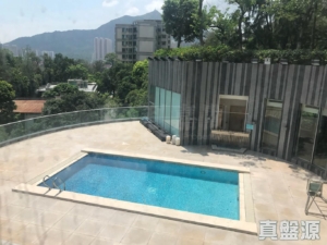 南岸 - 28NTS – 香港北部都會區