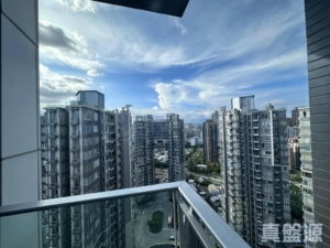 尚悅 9座 - 28NTS – 香港北部都會區