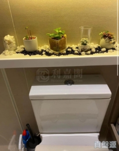 豐寓 - 28NTS – 香港北部都會區
