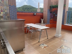 曉峰園 1座 - 28NTS – 香港北部都會區