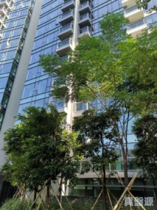 上源 2A座 - 28NTS – 香港北部都會區